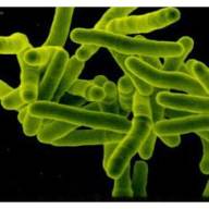 24 mars: Journée Mondiale de lutte contre la tuberculose